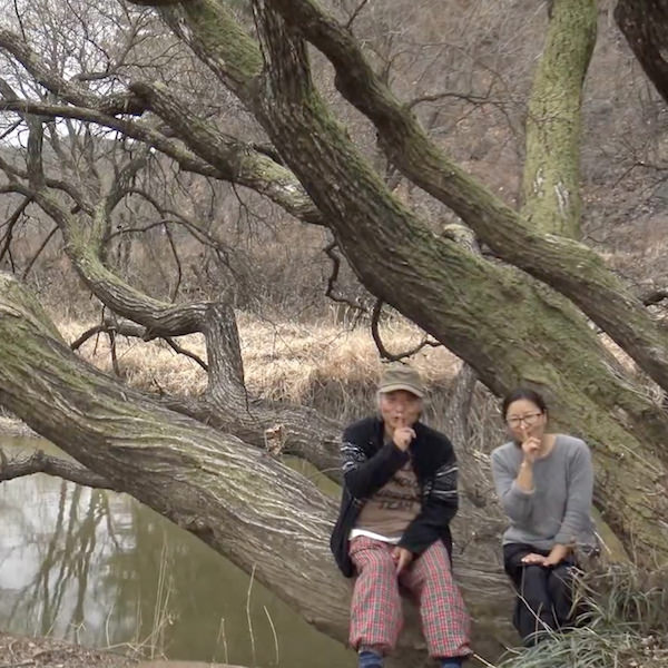 [창녕] 우포늪엔 맨발로 오세요