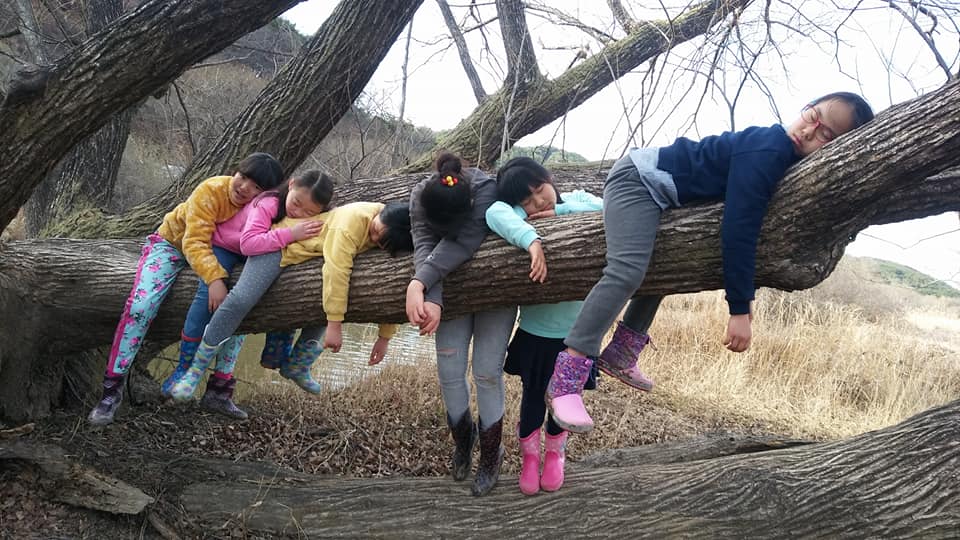 우포늪에서 즐겁게 노는 개똥이어린이예술단 아이들1