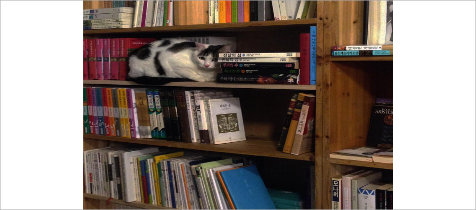 view_con_북스피리언스booksperience_960x424