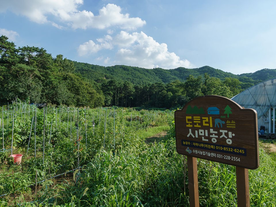 도토리시민농장