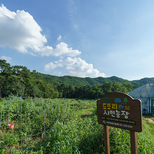 [수원] 도시농부, 별을 심다