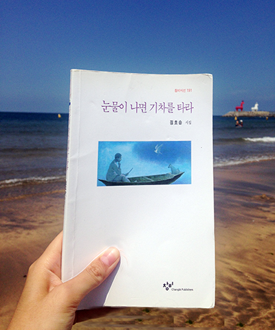 눈물이나면 기차를 타라 정호승 저