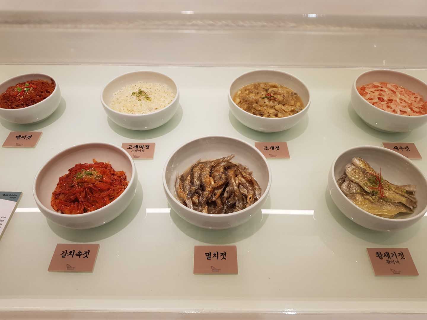 상에 가득 차려진 젓갈 모형들. 먹음직스럽다 / 뱅어젓 고개미젓 조개젓 새우젓 갈치속젓 멸치젓 황새기젓 