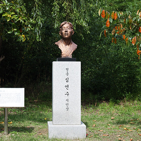 시時를 쓰다 시인 심연수 오죽헌시립박물관