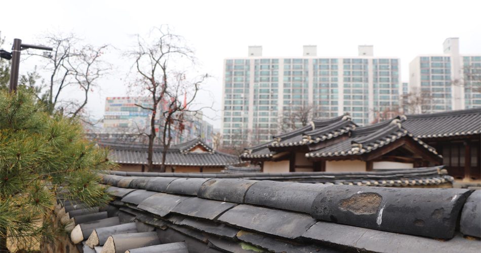 동춘당 낮은 담장