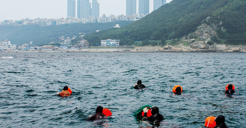 청사포 앞바다에서 물질하는 도심 속 해녀들