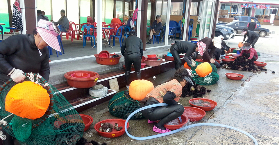 청사포 마켓 앞에 깔린 청사포 해녀들의 좌판