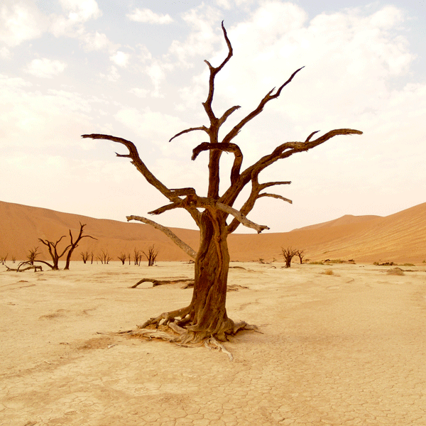 /upload/board/image/2023/12/PALAN_ISSU/2396319_49a355af-e32b-4515-8934-2233dce05d4c.gif