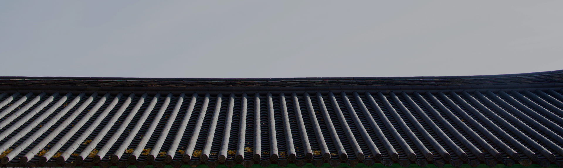 /upload/board/image/2024/12/INMUN_CONTENTS/2372182_50ffb3e1-c39a-4986-b0ba-2972d4aada81.png