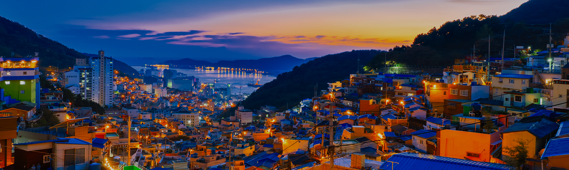 글로컬 트렌드