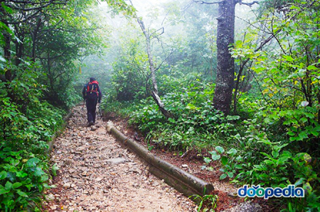 설악산 등산로