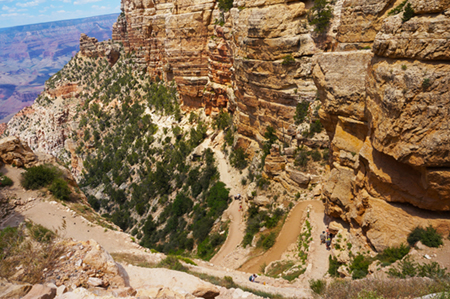 KAIBAB TRAIL