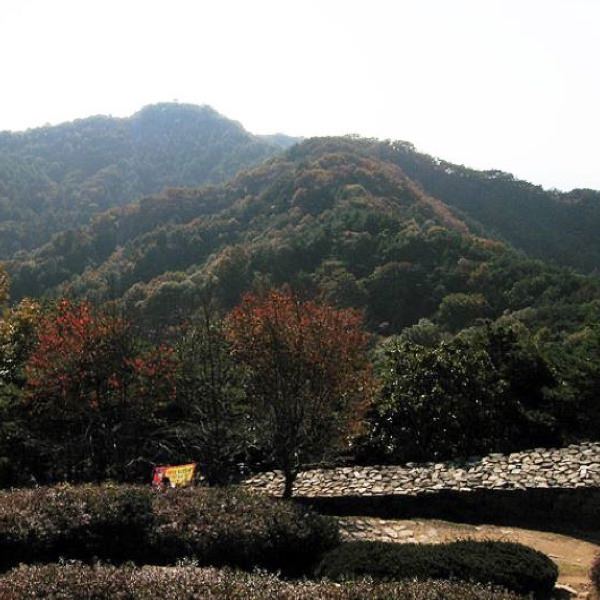 보고 듣고 느끼다 이야기가 있는 도시