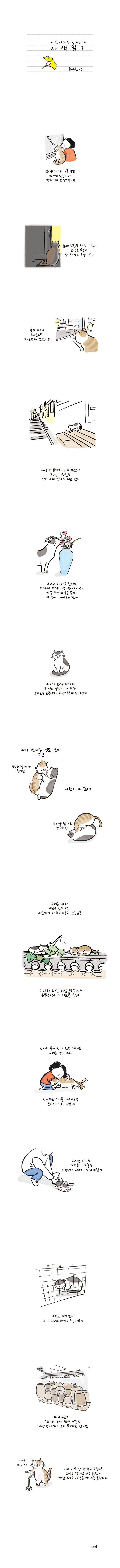 시 읽어주는 누나, 시누이의 사색일기 글.그림 싱고 집사는 내가 하루 종일 얌전히 앞발이나 할짝대는 줄 알겠지만 몰래 잍탈을 한 적이 있지 묘생을 통틀어 단 한 번의 모험이었어 우리 사이는 유리문으로 가로막혀 있어지만 그런 건 문제가 되지 않았네 그녀는 기찻길을 담대하게 건너 내개로 왔지 그녀의 보드라운 털에선 싱그러운 상수리나무 냄새가 났지 가금 도깨비 풀을 묻히고 내 앞에 나타나곤 했어 그녀가 화낼 때조차 코 옆의 팥알만 한 점과 날카로운 송곳니가 사랑스럽게 느껴졌지 누가 먼저랄 것도 없이 우린 고양이1:정수리 냄새가 좋다냥 사랑에 빠졌네 고양이1:앞가슴 냄새도 꼬숩다냥 그녀를 따라 새로운 길을 갔지 따듯하게 데워진 지붕과 골목길을 그녀와 나는 비밀 장소에서 은믈하게 데이트를 했어 집사의 품에 안겨 있을 때에도 그녀를 생각했네 언제라도 그녀을 따라나설 준비가 되어 있었네 그러던 어느 날 사람들이 쳐 놓은 포획망에 그녀가 걸려 버렸지 그리고 사라졌네 그게 그녀의 마지막 모습이었지 마치 누군가 우리가 함께 했던 시간을 조금만 항아리에 담아 묻어버린 것처럼 고양이:아이고 내 고관절 이제 나도 단 한번의 모험으로 묘생을 걸기엔 너무 늙었어 어떤 축어도 시간을 이기지는 못한다네 -END-