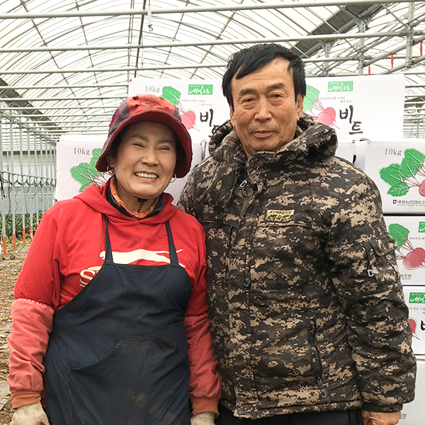양계원, 김순여 부부, 10kg 새별오름 아삭아삭한 자연 그대로 제주 비트 비트 애월농협협동조합