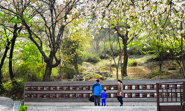 망우리공원 풍경 