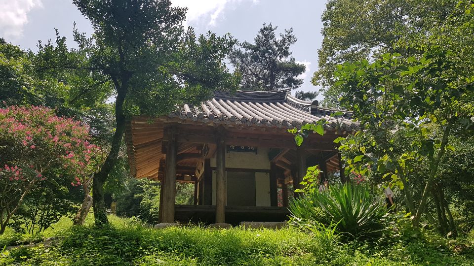 독수정 전경. 원림을 배경으로 고독하게 서 있다. 