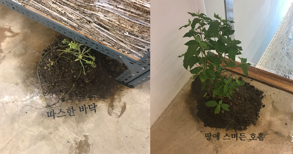 콘크리트바닥에 작은 흙덩이작품들 - 좌)따스한 바닥, 우)땅에 스며든 호흡