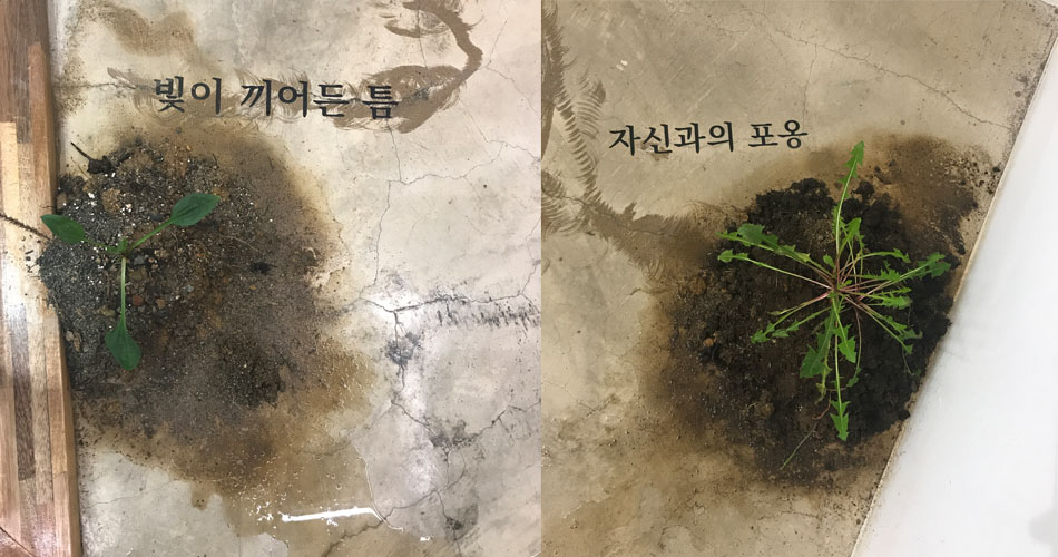 콘크리트바닥에 놓인 작은 흙덩이들 작품-좌)빛이 끼어든 틈, 우)자신과의 포옹
