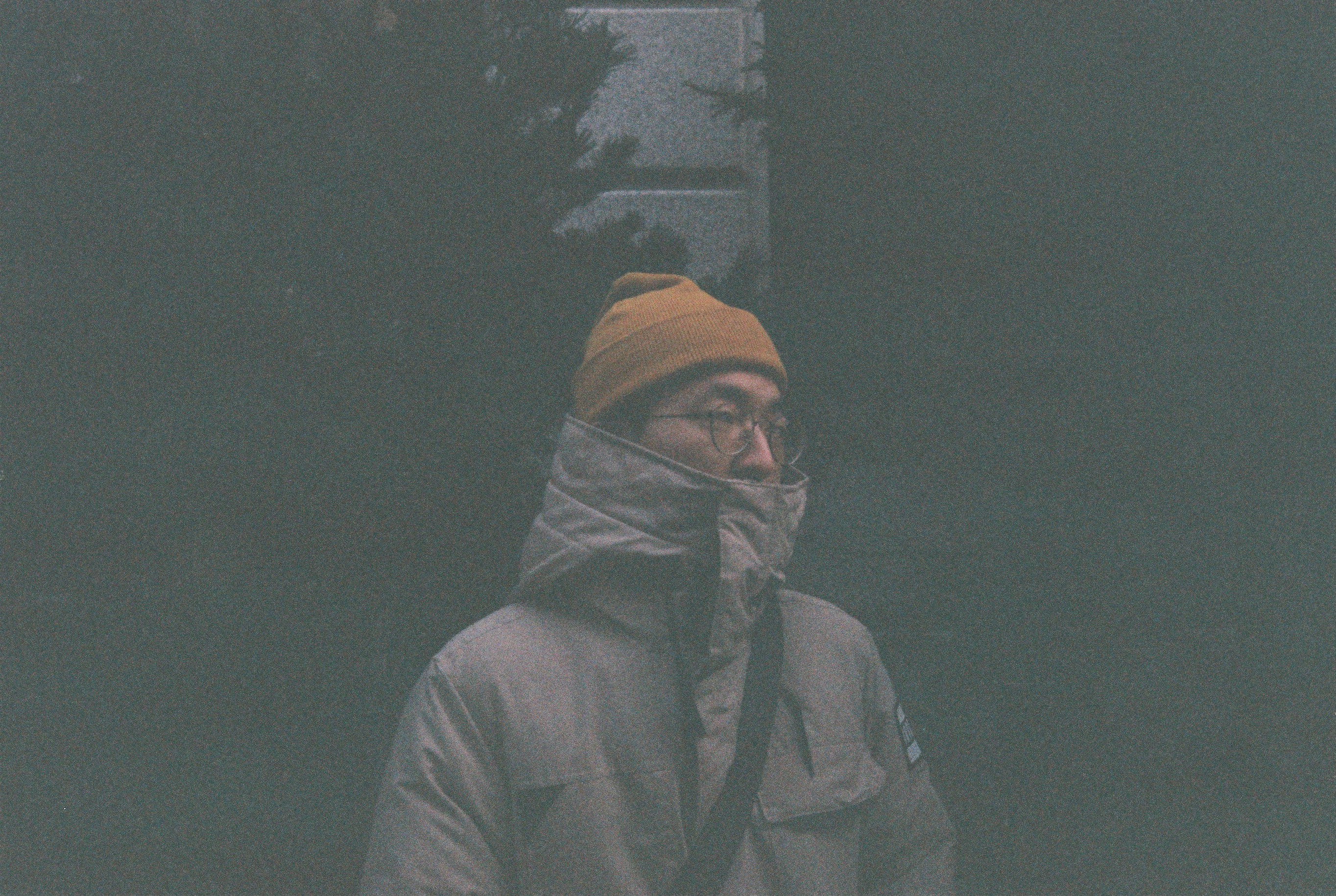 필자 박도영