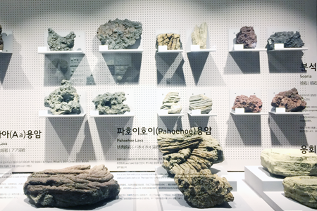 자연사전시실-용암석