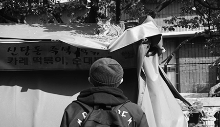 duncanny1 다섯번째 사진