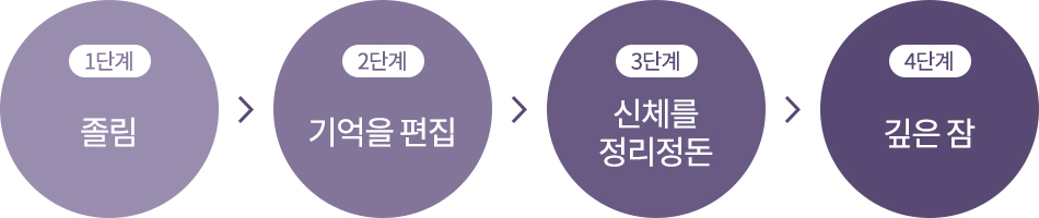 1단계 졸림  2단계 기억을 편집  3단계 신체를 정리정돈  4단계 깊은 잠