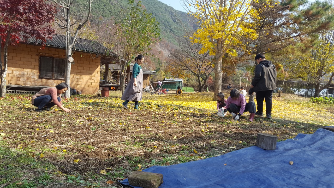 ▲밀 심는 사람들 ▲ 나무 그네가 있는 자연학교 풍경 ⓒ양현정