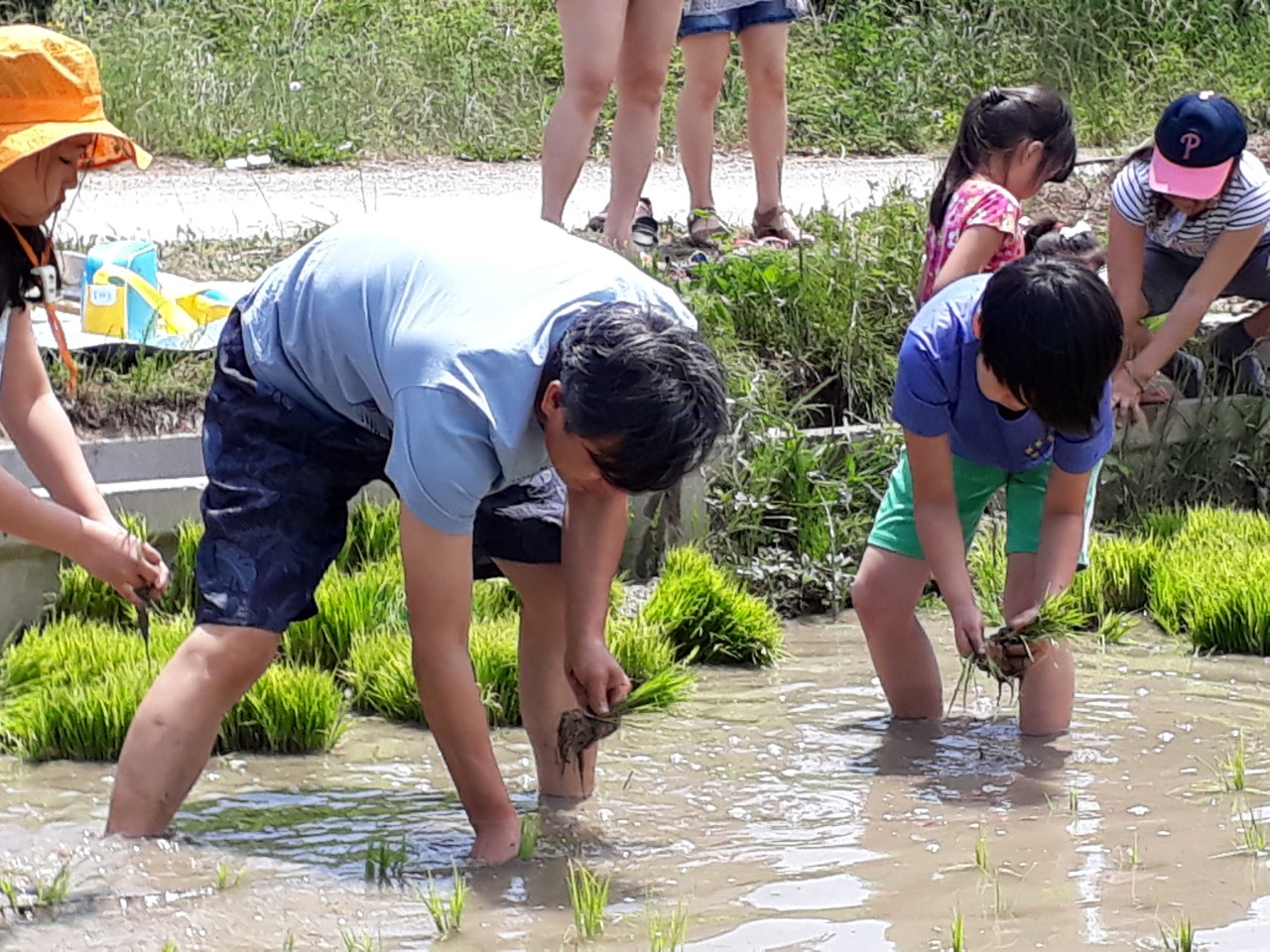 ▲ 서각에 대해 설명하고 계시는 원목사님 ▲  아이들에게 모내기 시범을 보이고 있는 국짱님 ⓒ매곡리자연학교