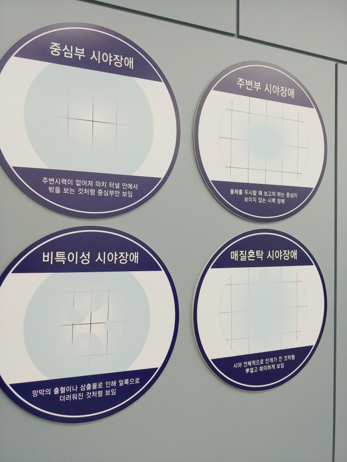 중심부 시야장애 주변시력이 없어져 마치 터널 안에서 밖을 보는 것처럼 중심부만 보임 주변부 시야장애 물체를 주시할 때 보고자 하는 주심이 보이지 않는 시력 장애 비특이성 시야장애 망막의 출혈이나 삼출물로 인해 얼룩으로 더러워진 것처럼 보임 매질혼탁 시야장애 시야 전체적으로 안개가 낀 것처럼 뿌옇고 희미하게 보임