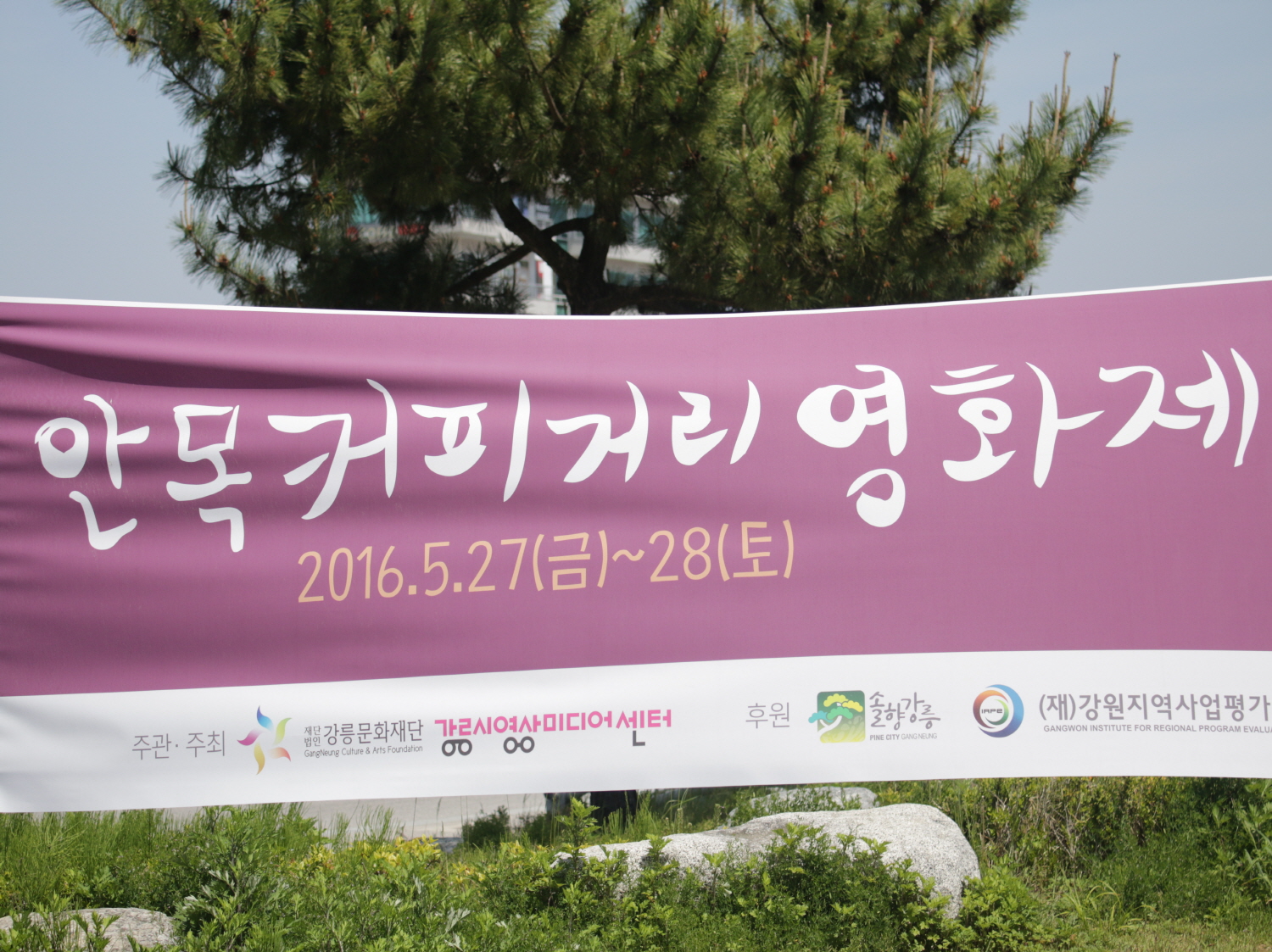 강릉의 다양한 커피 콘텐츠 : 안목커피거리 영화제