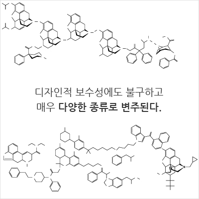 디자인적 보수성에도 불구하고 매우 다양한 종류로 변주된다.