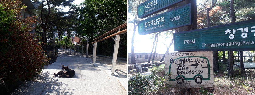 낙산공원 한성대입구역 1500M 창경궁 1700M 8번 마을버스 타는 곳 명륜동 혜화역 종5가(광장시장) 