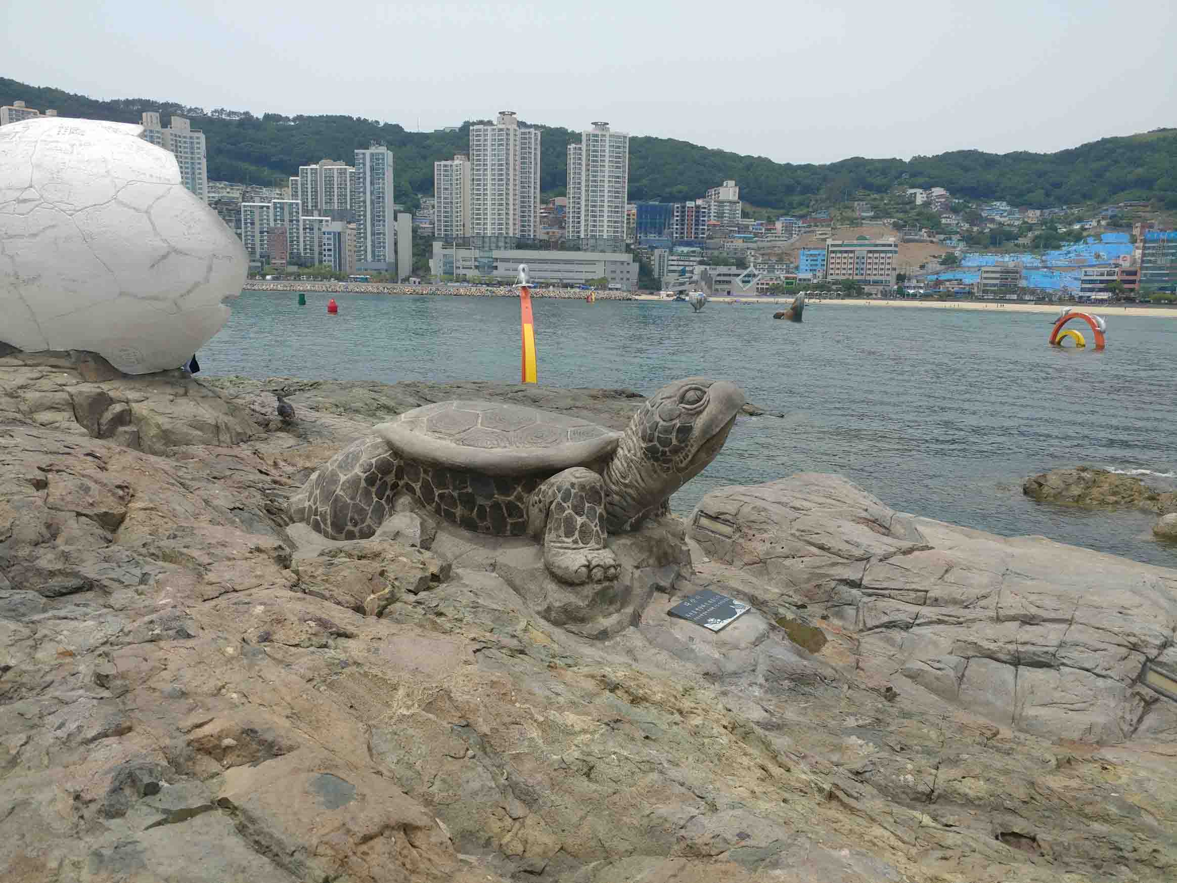 거북섬