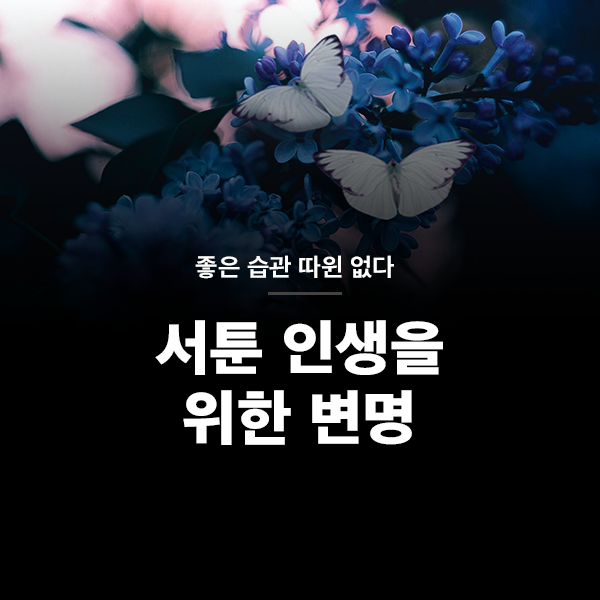 서툰 인생을 위한 변명