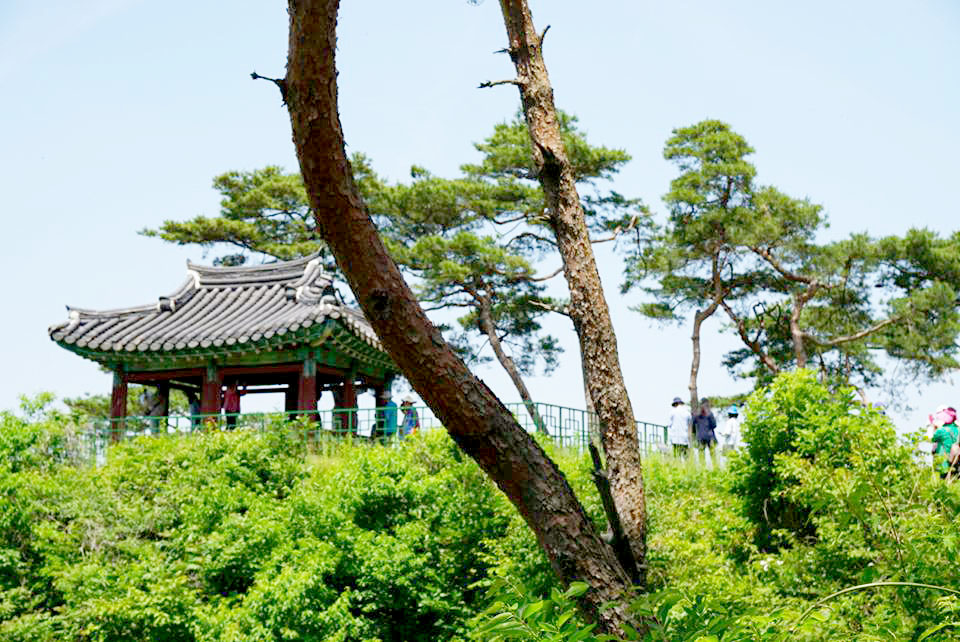 고산정