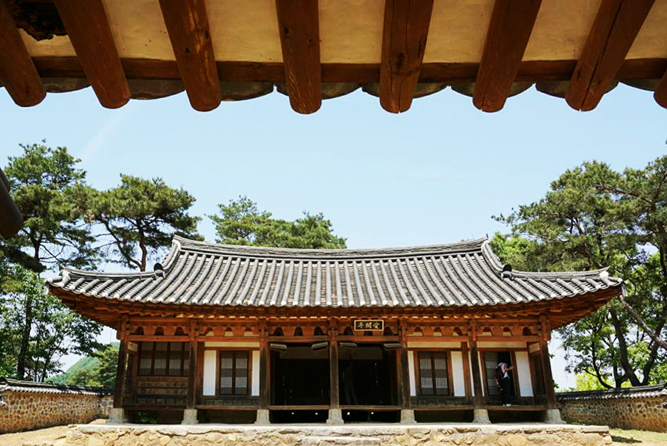 애한정 