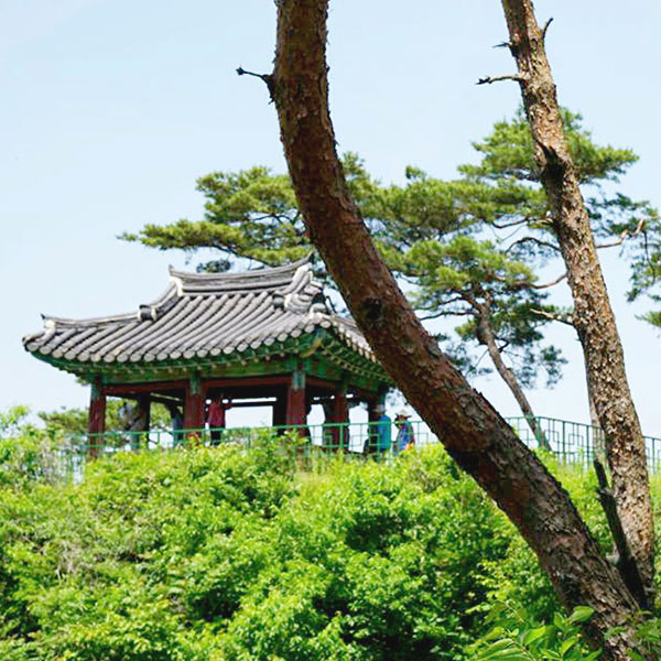 누정에 누워 풍류를 즐긴다 : 인문학 강좌 충북의 누정 답사