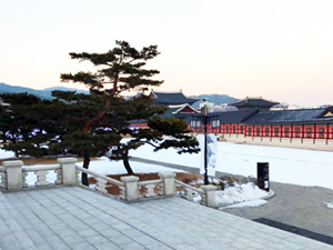 국립고궁박물관에서 바라본 경복궁