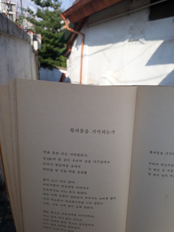 청파동을 기억하는가     최승자    겨울 동안 너는 다정했었다.  눈(雪)의 흰 손이 우리의 잠을 어루만지고  우리가 꽃잎처럼 포개져  따뜻한 땅 속을 떠돌 동안엔    봄이 오고 너는 갔다.  라일락꽃이 귀신처럼 피어나고  먼곳에서도 너는 웃지 않았다.  자주 너의 눈빛이 셀로판지 구겨지는 소리를 냈고  너의 목소리가 쇠꼬챙이처럼 나를 찔렀고  그래, 나는 소리 없이 오래 찔렸다.    찔린 몸으로 지렁이처럼 기어서라도,  가고 싶다 네가 있는 곳으로.  너의 따뜻한 불빛 안으로 숨어들어가  다시 한번 최후로 찔리면서  한없이 오래 죽고 싶다.    그리고 지금, 주인 없는 해진 신발마냥  내가 빈 벌판을 헤맬 때  청파동을 기억하는가    우리가 꽃잎처럼 포개져  눈 덮인 꿈 속을 떠돌던  몇 세기 전의 겨울을.