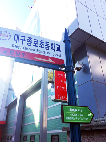 종로초등학교와 최제우 나무1