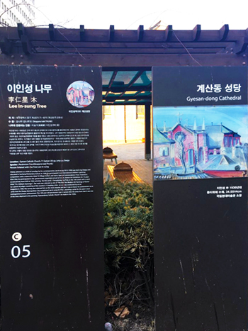 계산성당과 '계산동 성당'작품에 등장했던 감나무2