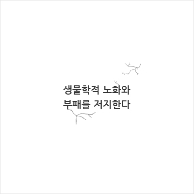 생물학적 노화와 부패를 저지한다