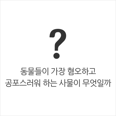 동물들이 가장 혐오하고 공포스러워 하는 사물이 무엇일까