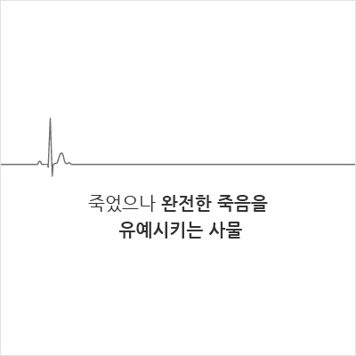 죽었으나 완전한 죽음을 유예시키는 사물